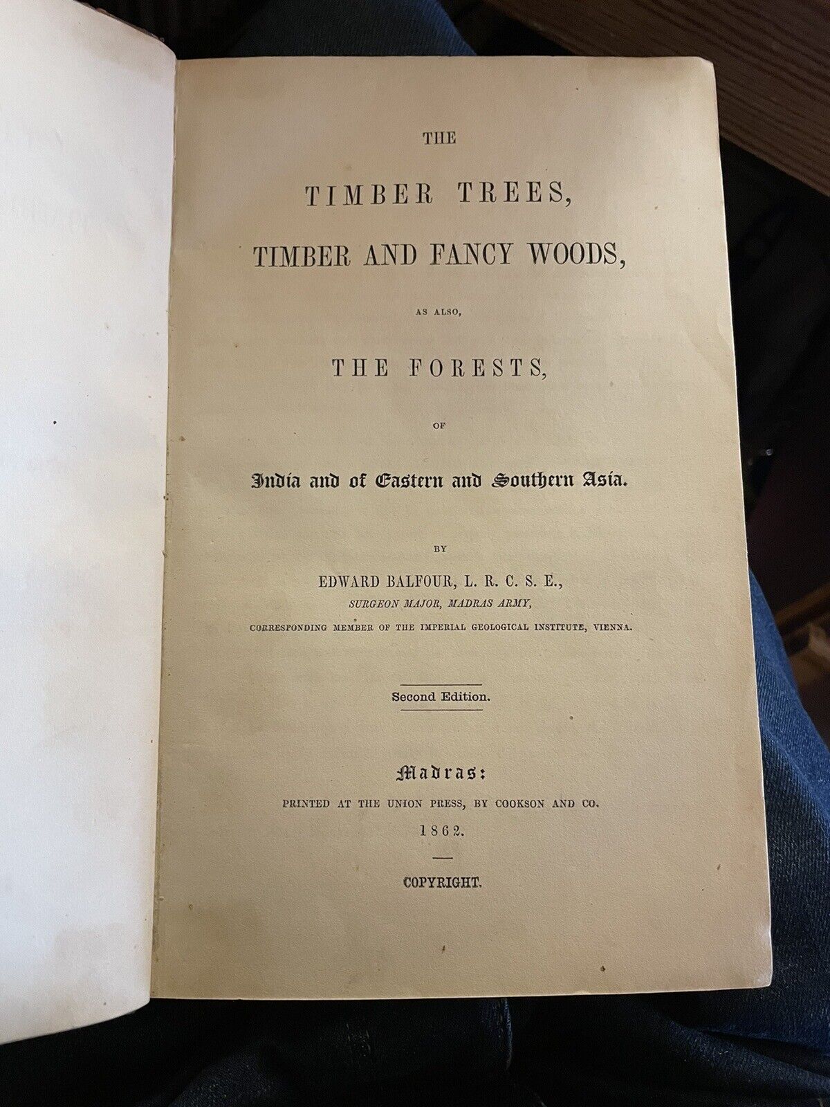 1862 Balfour's Timber Trees and Fancy Woods : Forests of India