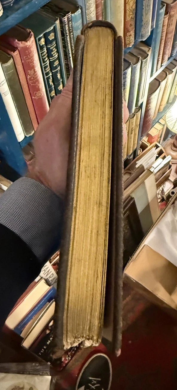 Aucassin and Nicolete : Evelyn Paul : Unusual Medieval Style Binding c1917