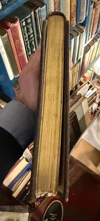Aucassin and Nicolete : Evelyn Paul : Unusual Medieval Style Binding c1917