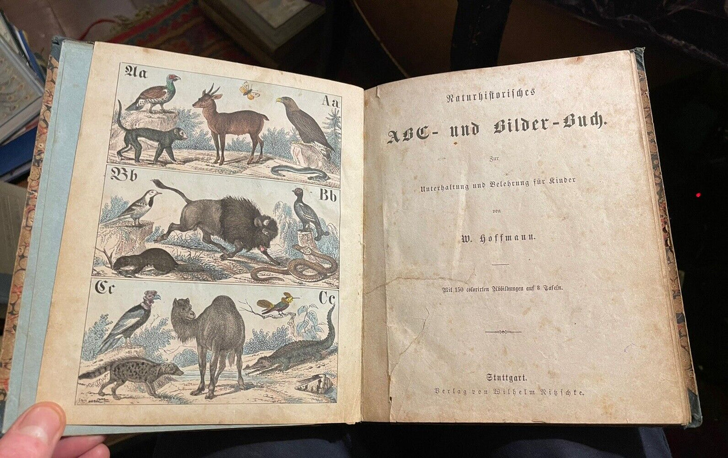 c1860 Antique German ABC Book : Naturhistorisches A B C und Bilder-buch