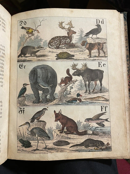 c1860 Antique German ABC Book : Naturhistorisches A B C und Bilder-buch