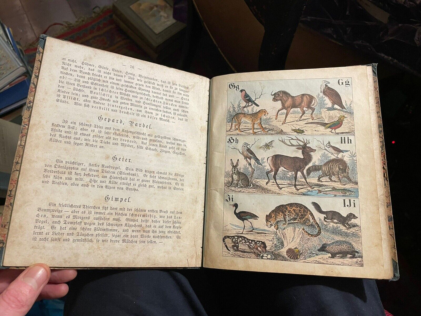 c1860 Antique German ABC Book : Naturhistorisches A B C und Bilder-buch