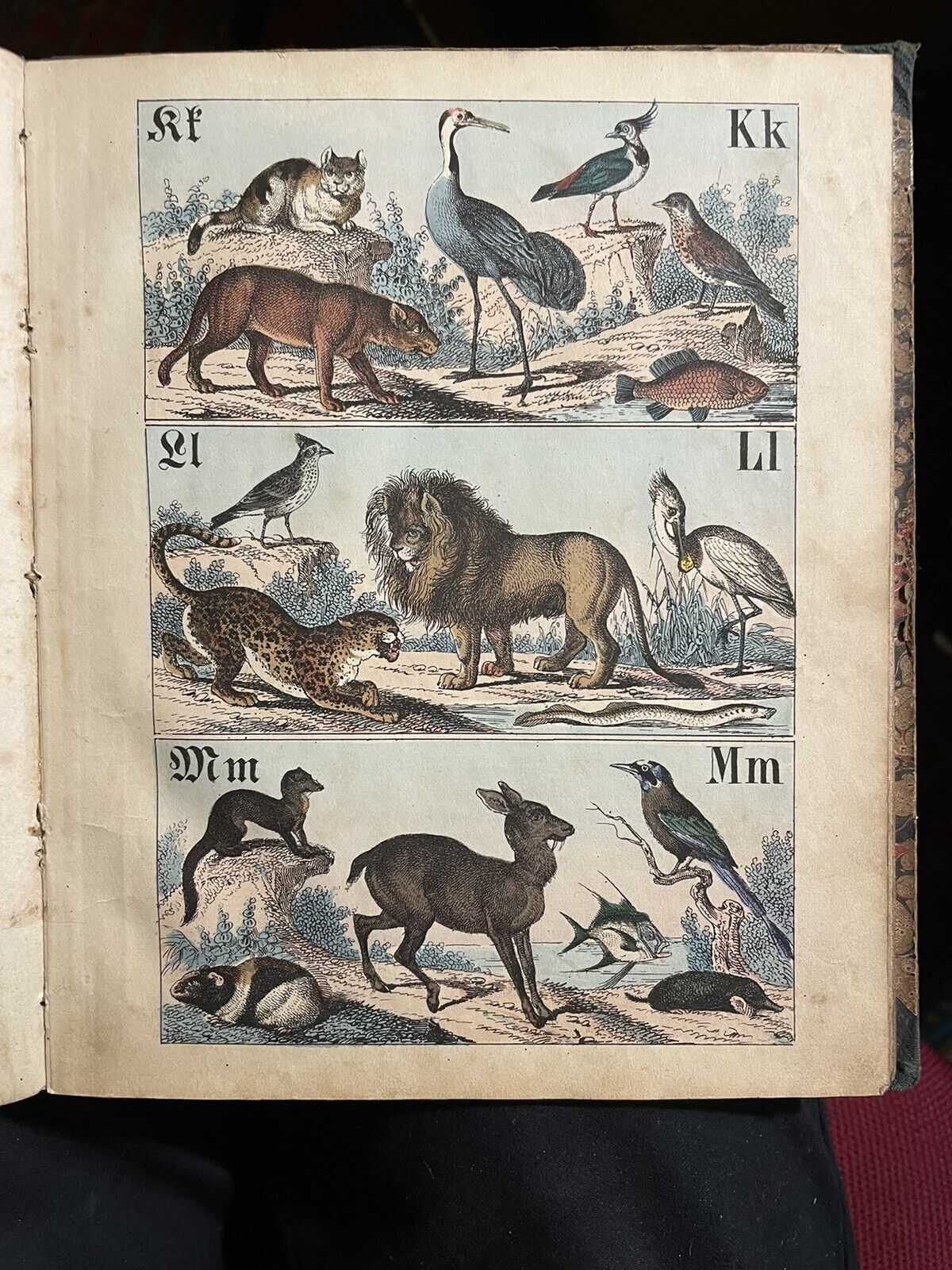 c1860 Antique German ABC Book : Naturhistorisches A B C und Bilder-buch