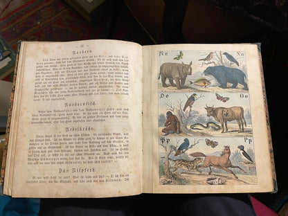 c1860 Antique German ABC Book : Naturhistorisches A B C und Bilder-buch