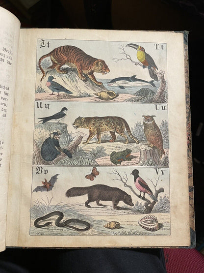 c1860 Antique German ABC Book : Naturhistorisches A B C und Bilder-buch