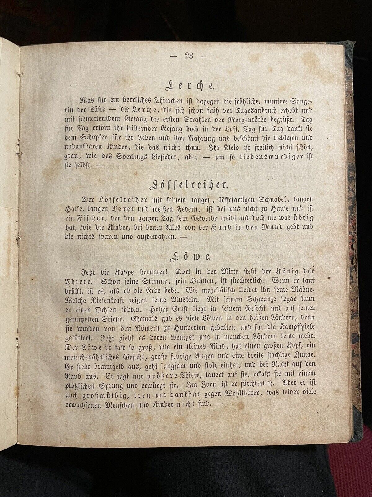 c1860 Antique German ABC Book : Naturhistorisches A B C und Bilder-buch