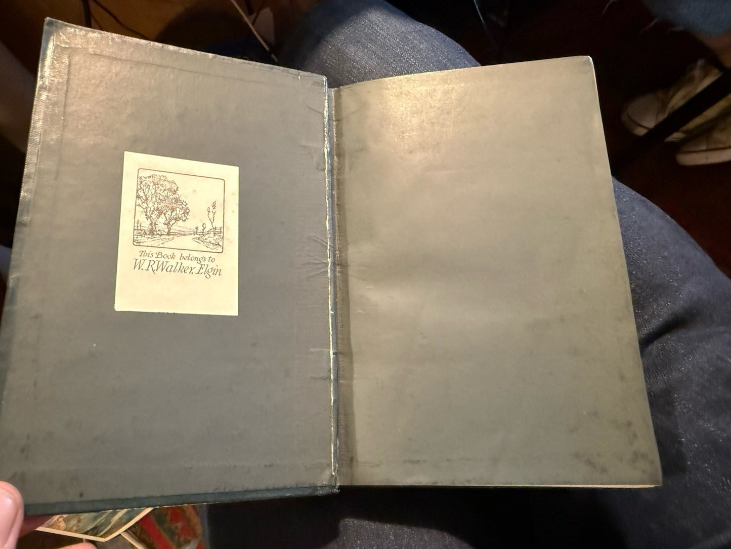 1894 The Fables of Aesop : Told Anew by Joseph Jacobs : Illustrated 1st edition