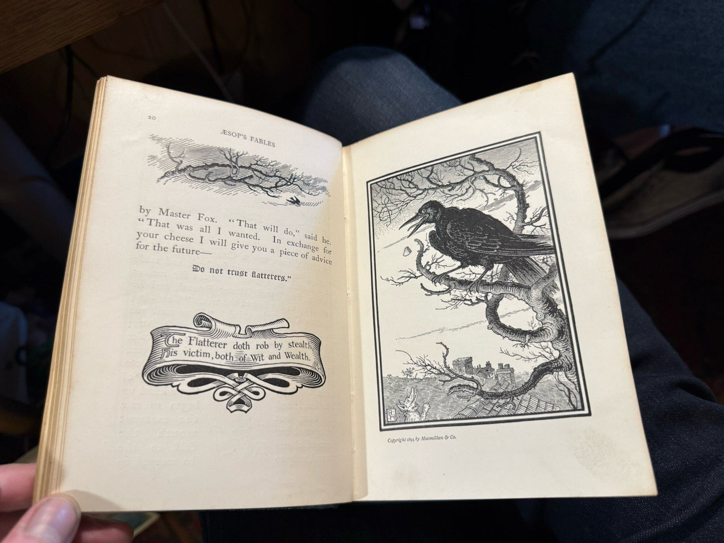 1894 The Fables of Aesop : Told Anew by Joseph Jacobs : Illustrated 1st edition