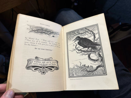 1894 The Fables of Aesop : Told Anew by Joseph Jacobs : Illustrated 1st edition