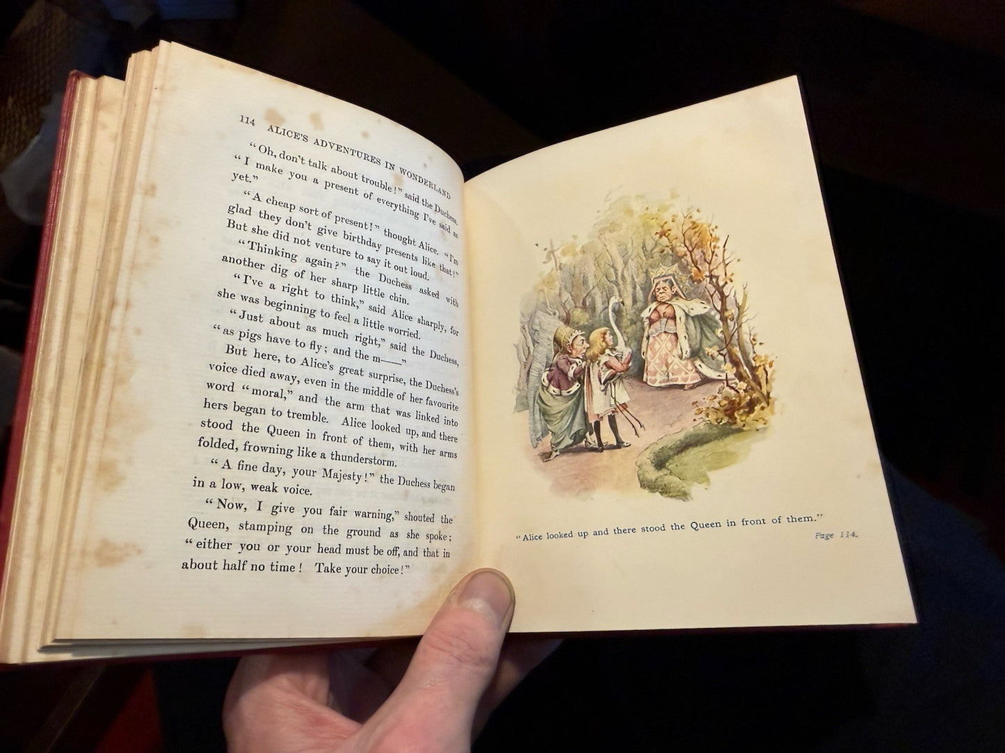 1907 Alice in Wonderland : Illus by Alice Ross : Lewis Carroll : Scarce Edition