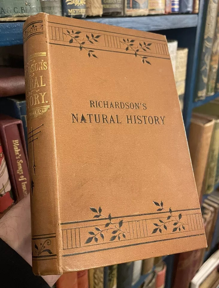 c1860 Richardson's Natural History : Animated Nature : Profusely Illustrated