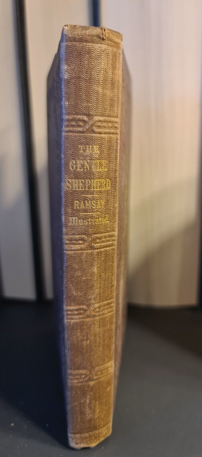 The Gentle Shepherd, A. Ramsay: Hardback 1851 Scottish Poet : Ettrick