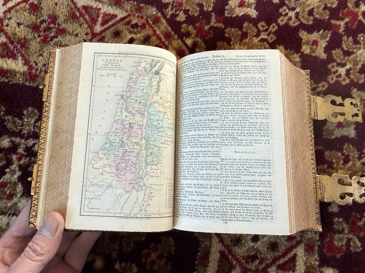 Bagster's Polyglot Bible : Stunning Clasped Fine Binding : Gauffered Edges c1864