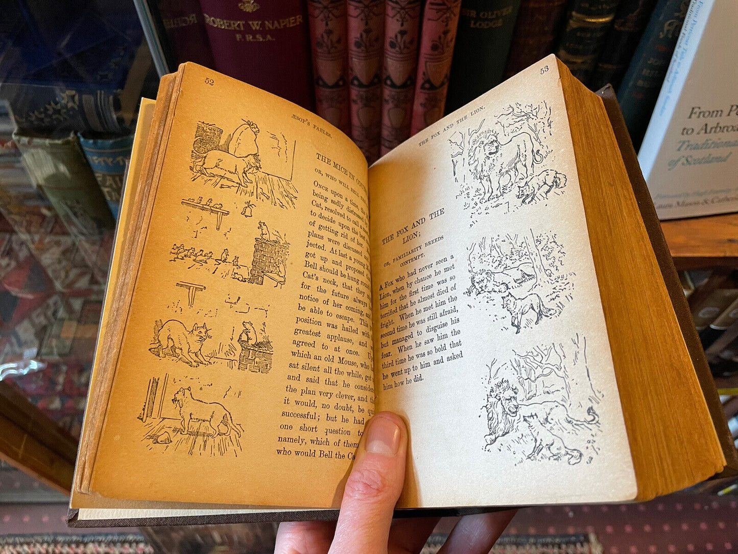 1896 Books for Bairns : W. T. Stead : Fairy Tales / Nursery Rhymes / Illustrated