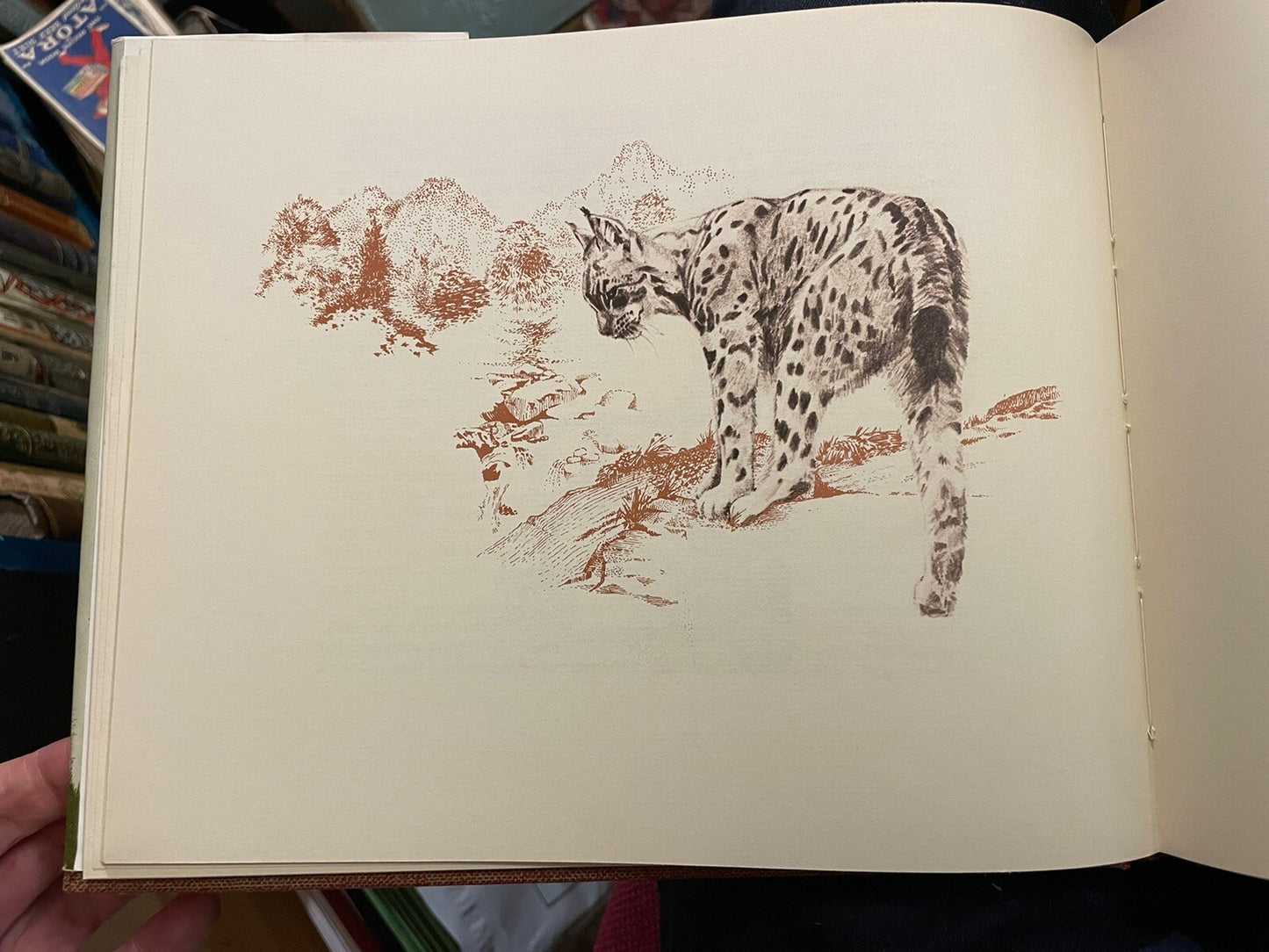 Scottish Bestiary: The Lore and Literature of Scottish Beasts : Francis Thompson