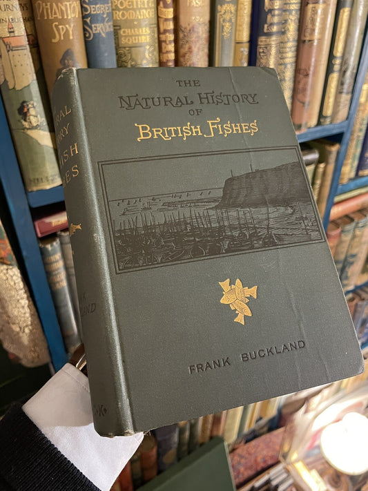 1891 The Natural History of British Fishes : Frank Buckland : Fish Illustrated