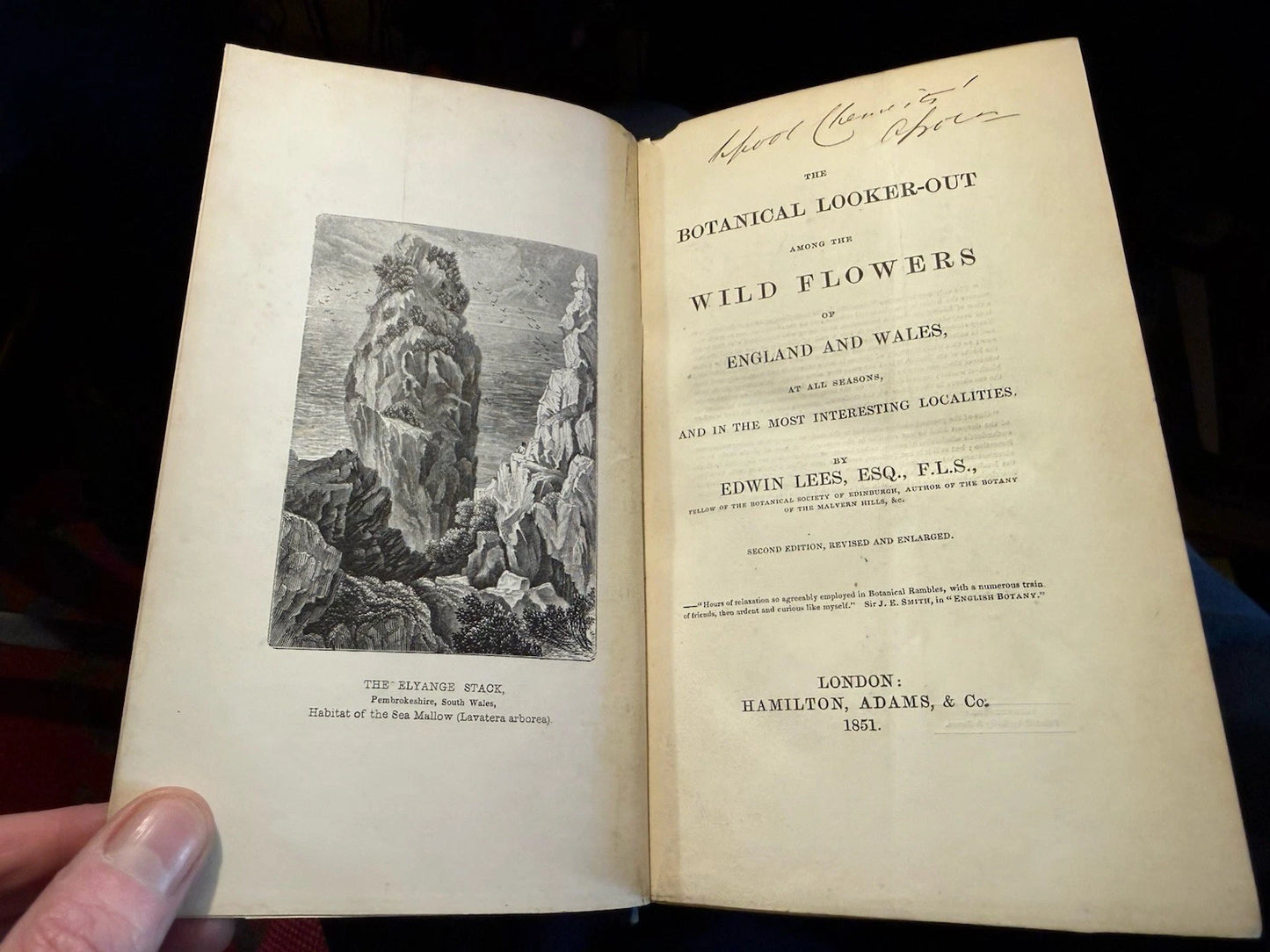 1851 The Botanical Looker-Out Among Wild Flowers : England & Wales :
