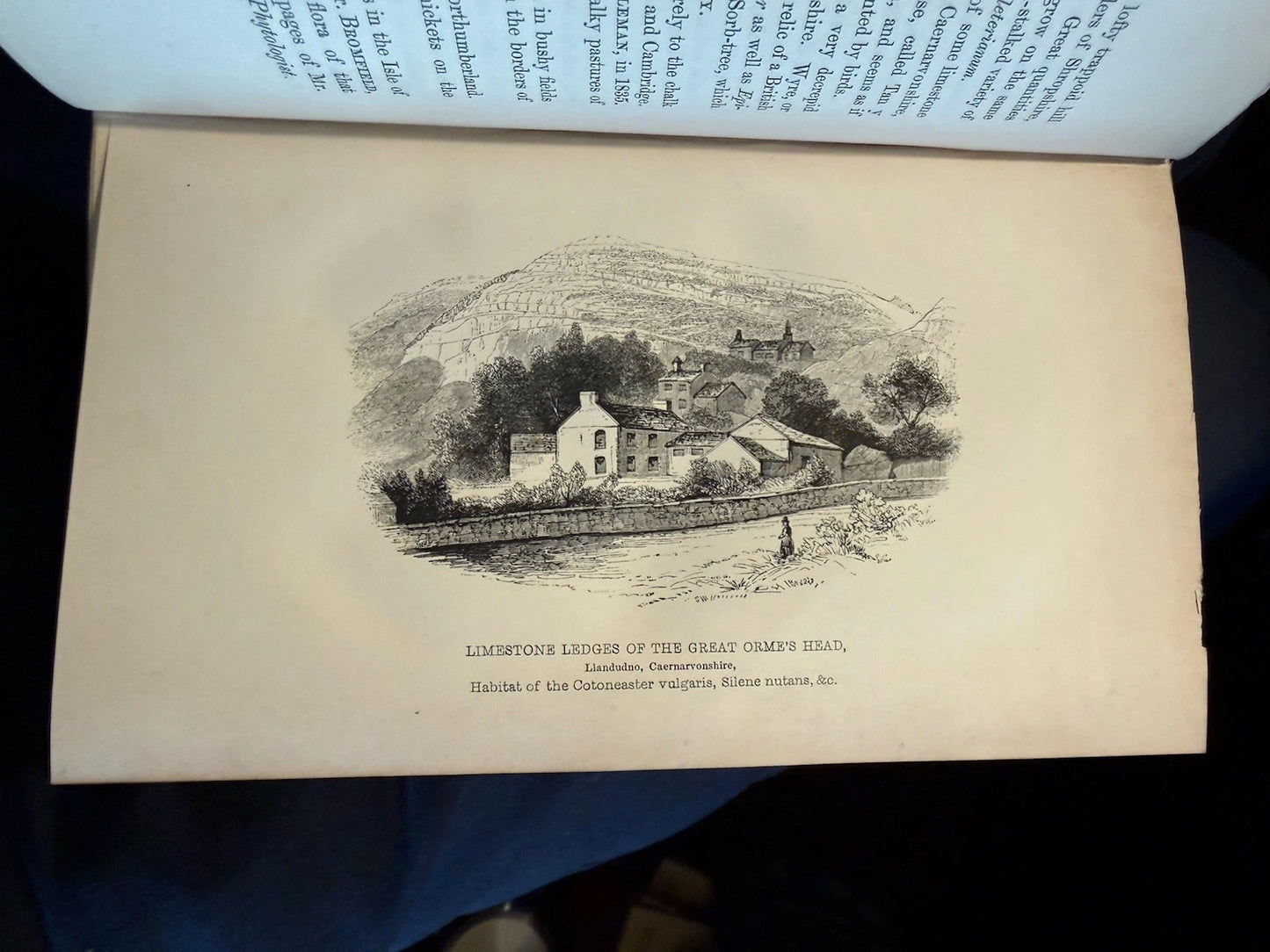 1851 The Botanical Looker-Out Among Wild Flowers : England & Wales :