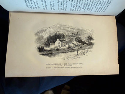 1851 The Botanical Looker-Out Among Wild Flowers : England & Wales :