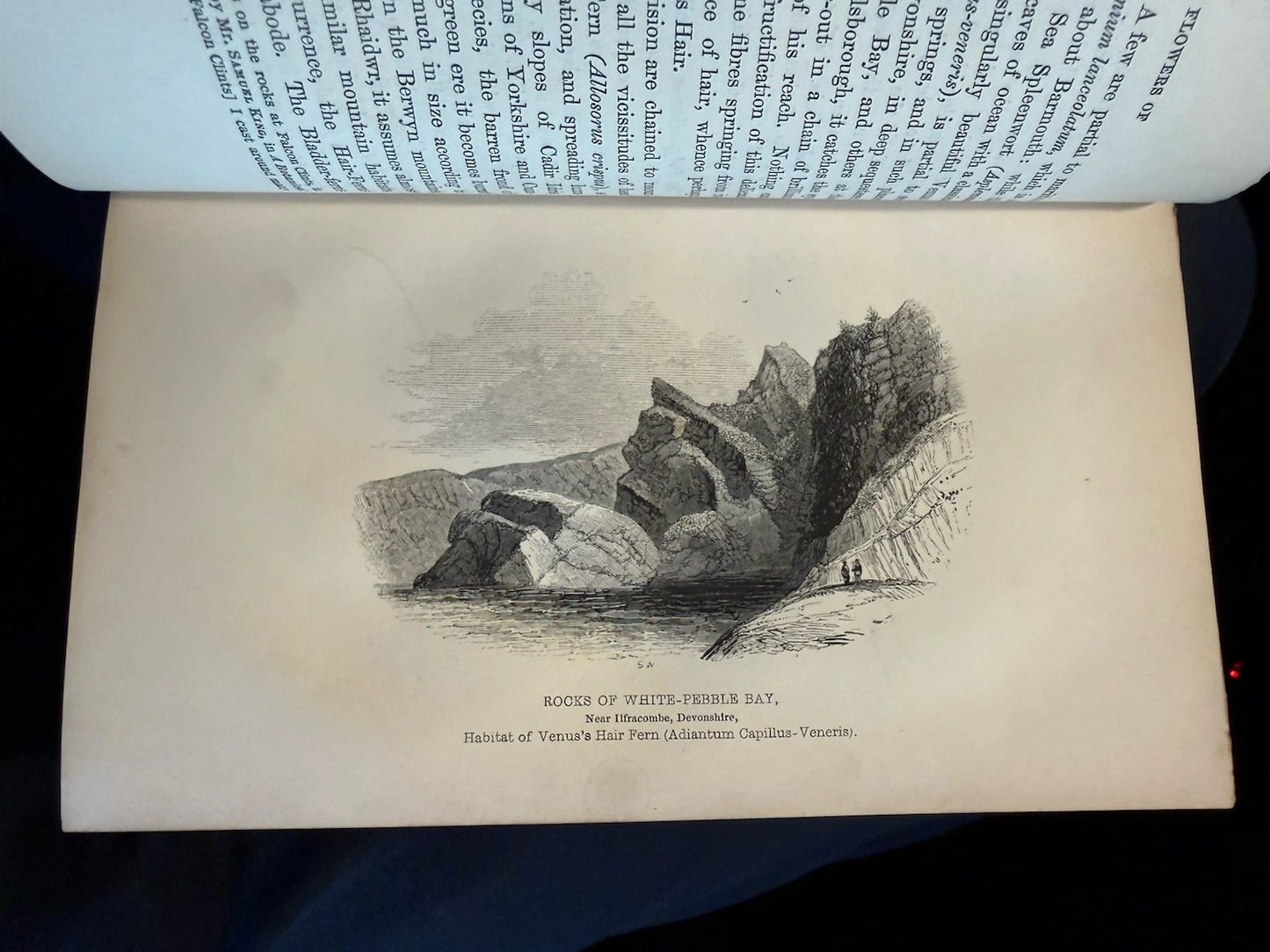 1851 The Botanical Looker-Out Among Wild Flowers : England & Wales :