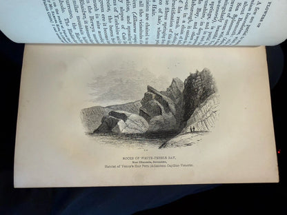 1851 The Botanical Looker-Out Among Wild Flowers : England & Wales :