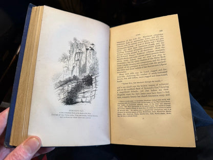1851 The Botanical Looker-Out Among Wild Flowers : England & Wales :