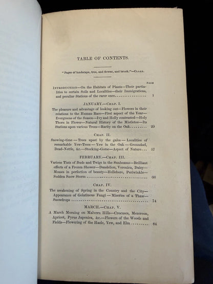 1851 The Botanical Looker-Out Among Wild Flowers : England & Wales :