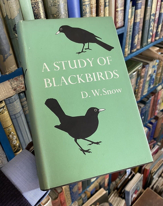 A Study of Blackbirds : D W Snow : Bird Monograph : Ornithology : 1st Ed 1958