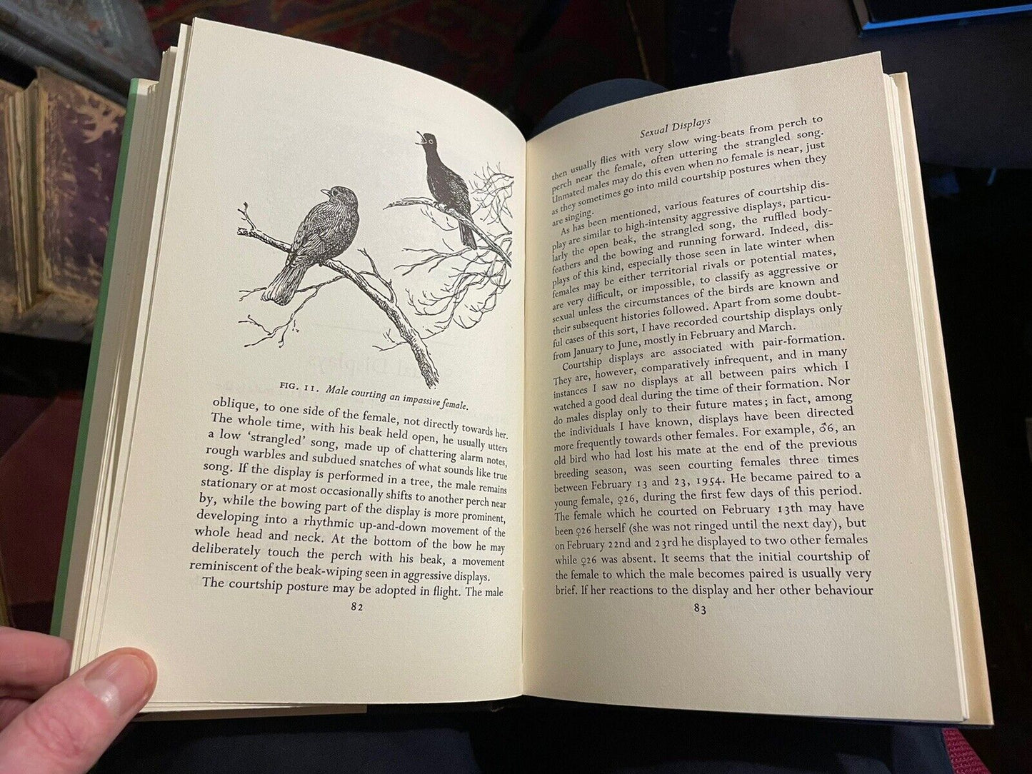 A Study of Blackbirds : D W Snow : Bird Monograph : Ornithology : 1st Ed 1958