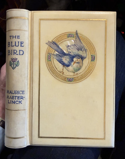 The Blue Bird; A Fairy Play : Vellucent binding by Cedric Chivers : Maeterlinck