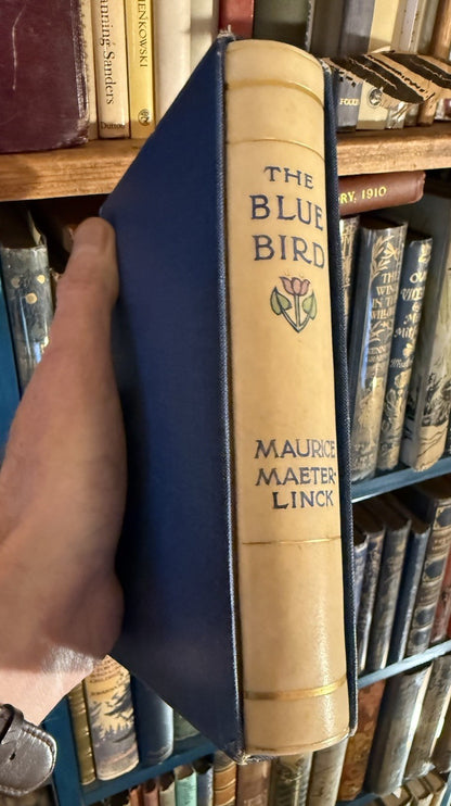 The Blue Bird; A Fairy Play : Vellucent binding by Cedric Chivers : Maeterlinck