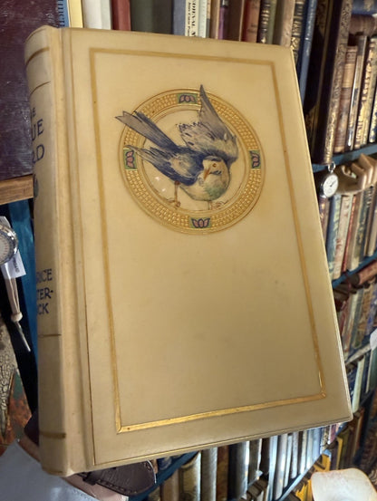 The Blue Bird; A Fairy Play : Vellucent binding by Cedric Chivers : Maeterlinck