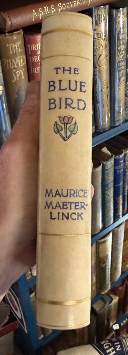 The Blue Bird; A Fairy Play : Vellucent binding by Cedric Chivers : Maeterlinck