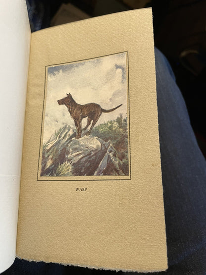 A Little Book of Dogs : John Brown : T N Foulis : Tipped-in Plates