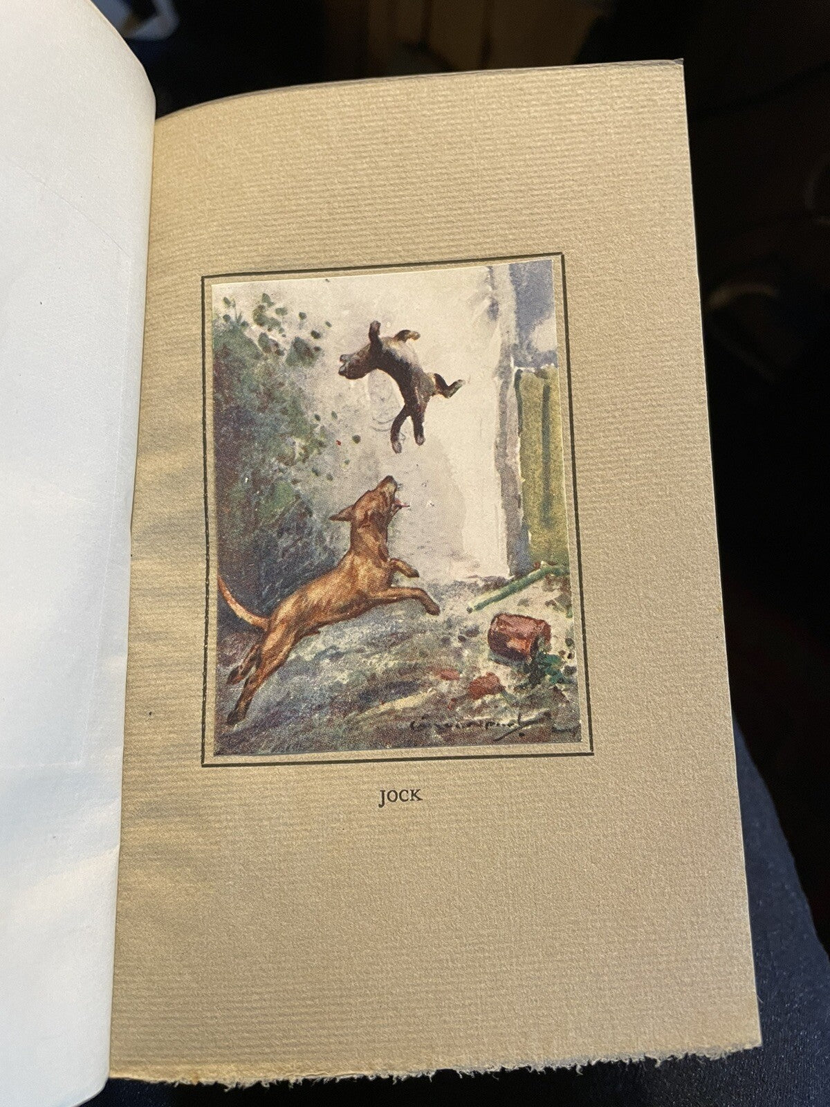 A Little Book of Dogs : John Brown : T N Foulis : Tipped-in Plates