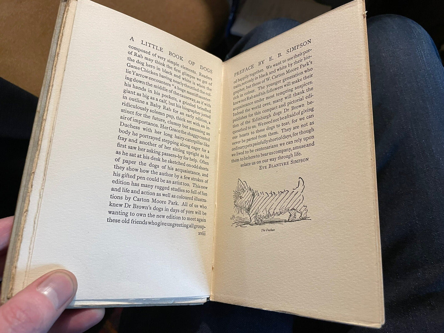 A Little Book of Dogs : John Brown : T N Foulis : Tipped-in Plates