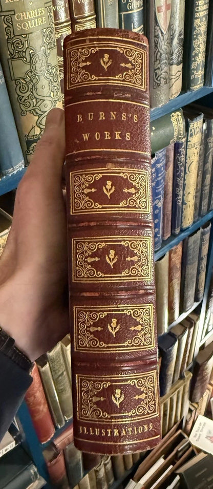 c1870 Poetical and Prose Works of Robert Burns : Lovely Decorative Binding