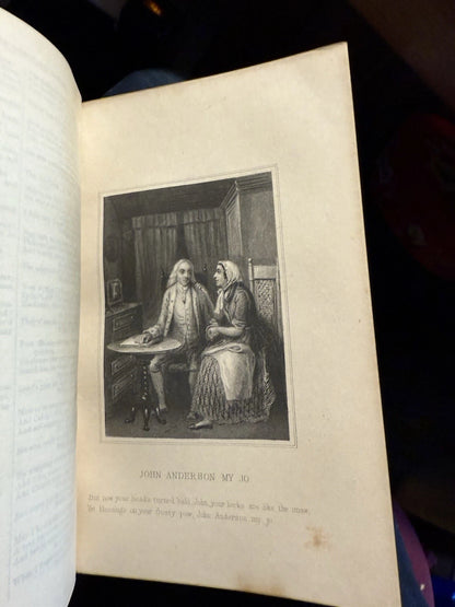 c1870 Poetical and Prose Works of Robert Burns : Lovely Decorative Binding