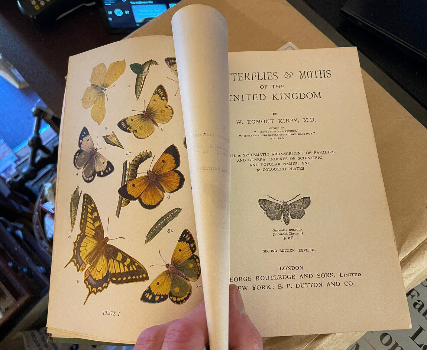 Butterflies And Moths Of The United Kingdon (70 colour plates) W.E.Kirby
