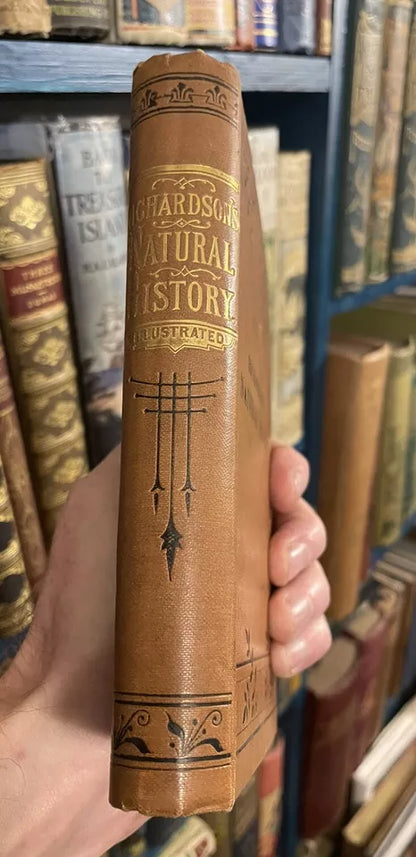 c1860 Richardson's Natural History : Animated Nature : Profusely Illustrated