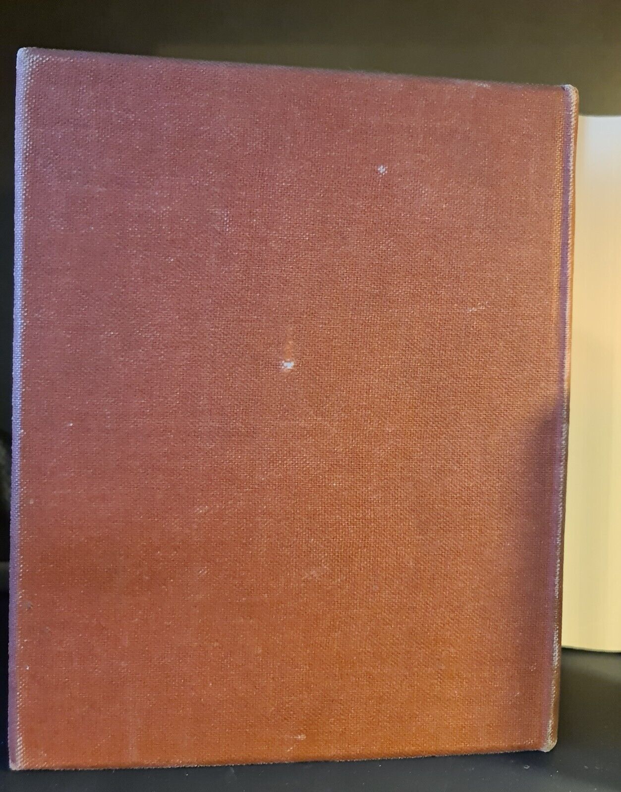 What Mean These Stones? C. MacLagan: Hardback: 1894: Celtic & Pictish History