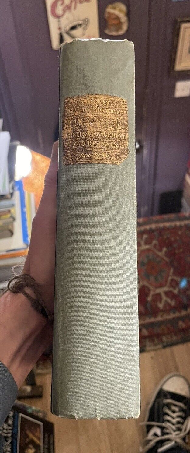 CATTLE Their Breeds, Management, and Diseases : William Youatt : Engravings 1834