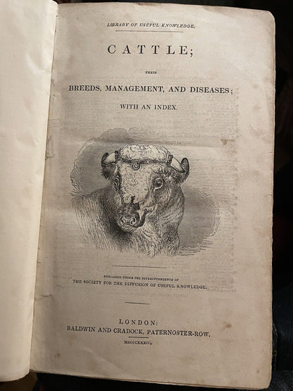 CATTLE Their Breeds, Management, and Diseases : William Youatt : Engravings 1834