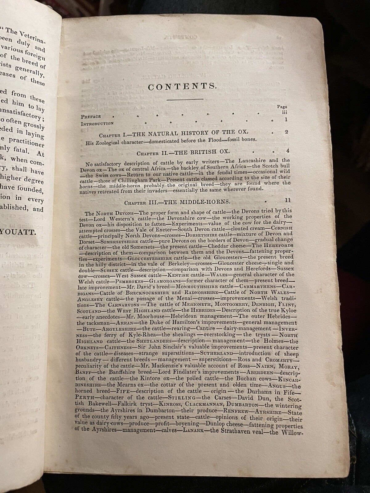 CATTLE Their Breeds, Management, and Diseases : William Youatt : Engravings 1834
