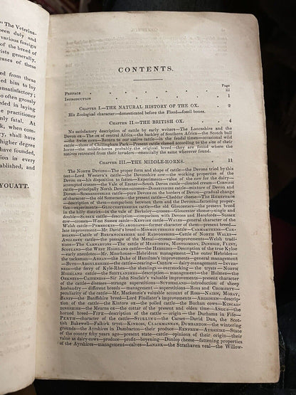CATTLE Their Breeds, Management, and Diseases : William Youatt : Engravings 1834