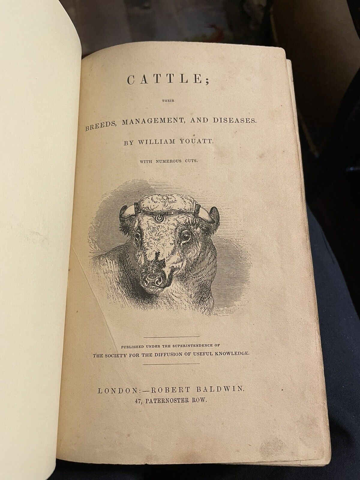 1834 Cattle, Their Breeds, Management and Diseases : W. Youatt : Illustrated