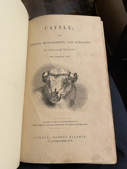 1834 Cattle, Their Breeds, Management and Diseases : W. Youatt : Illustrated