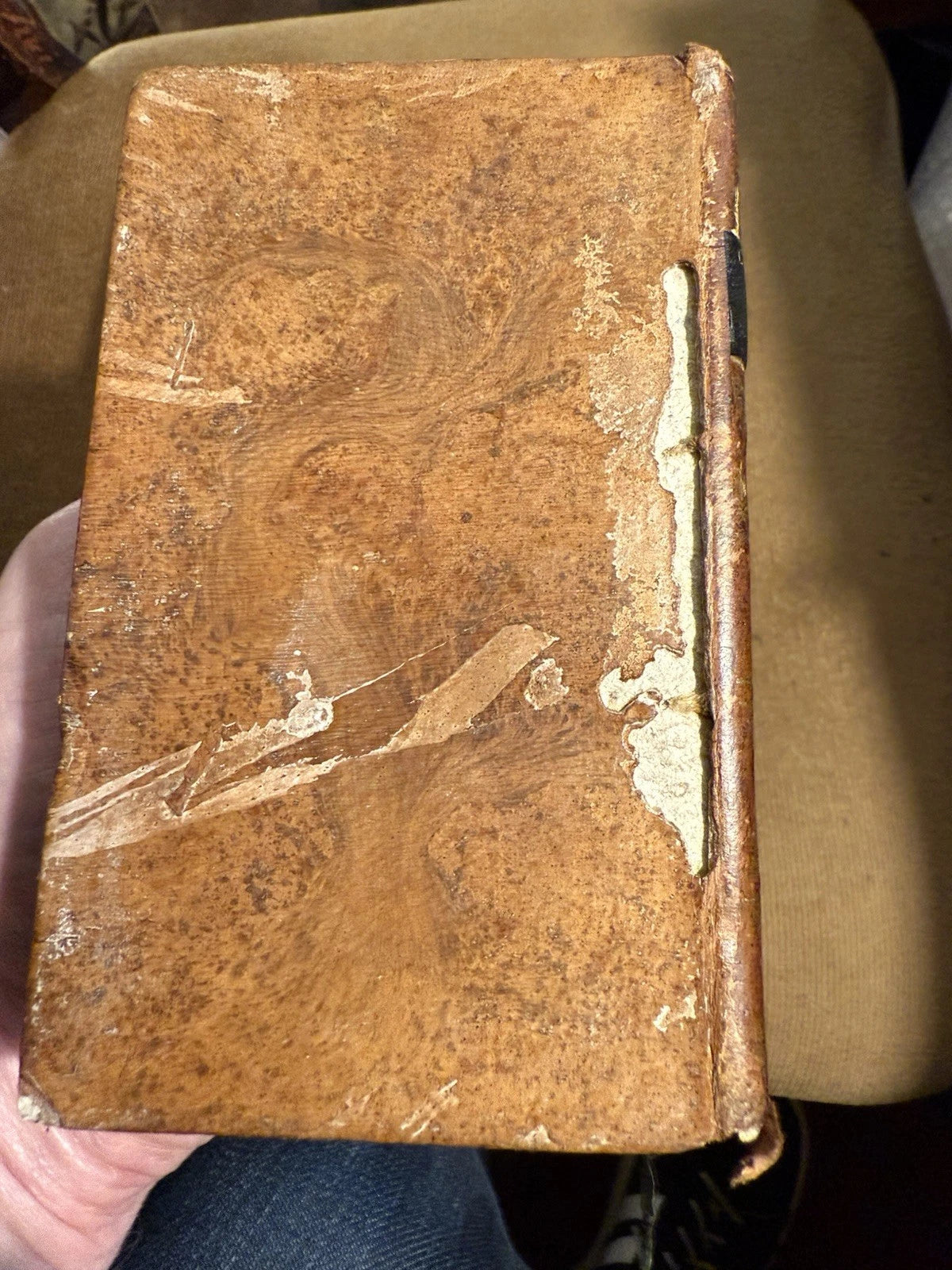 1810 Chefs d'Oeuvre de Molière (6 Volumes) : French Bindings