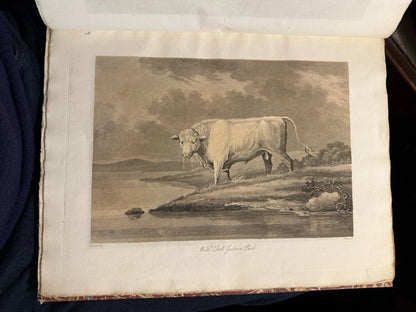 1812 The History and Antiquities of Craven : Book of Plates for 2nd Edition
