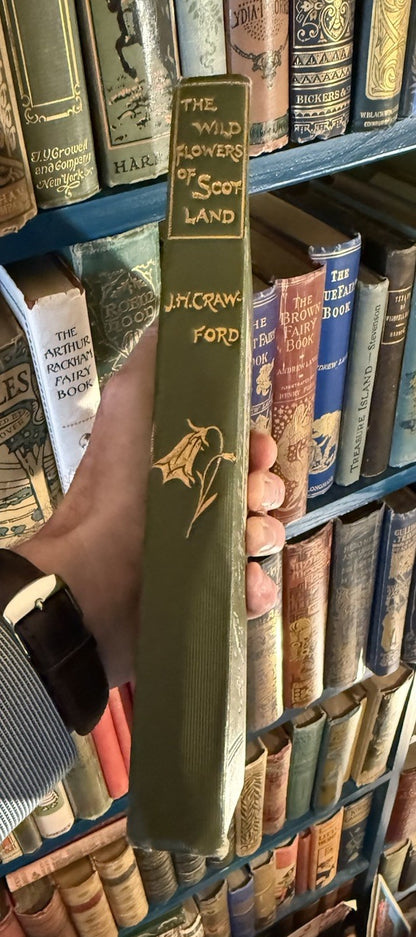 1897 The Wild Flowers of Scotland : J H Crawford : Illustrated : VG Copy